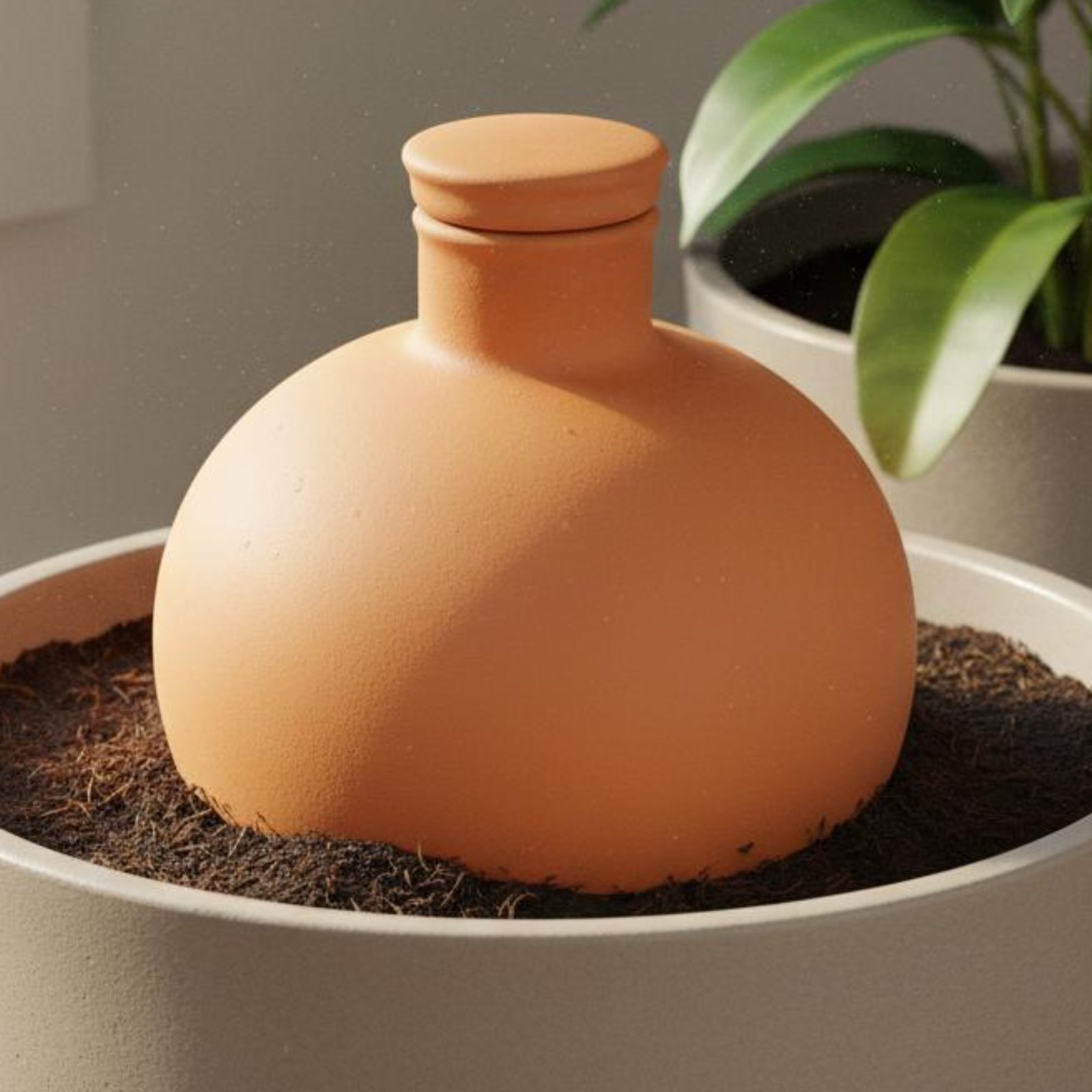 Terracotta Pot - 2 Pieces Terracotta Olla Easy Plant