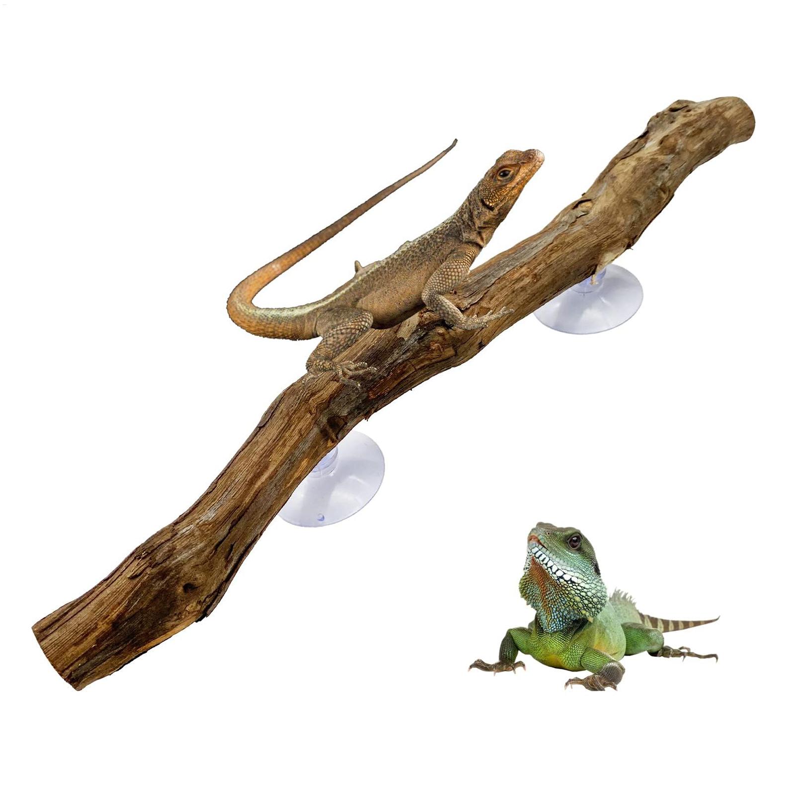 Snake Plant - Reptile Climbing Corner Stick Non-slip Reptile