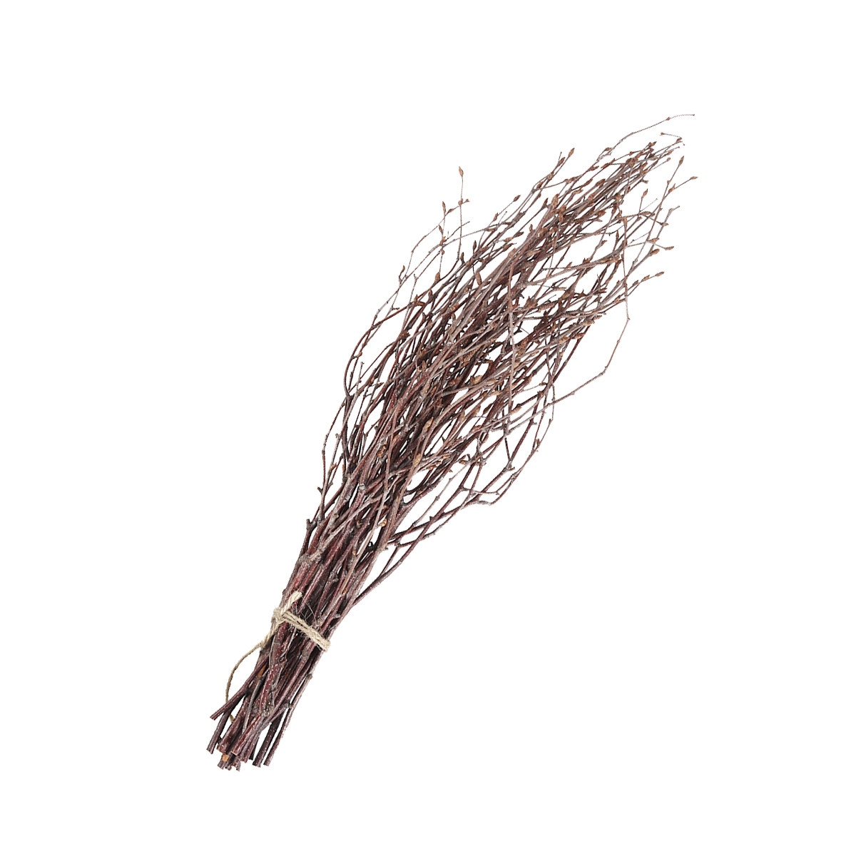 Snake Plant - 10Pcs Birch Branches Natural Dry Branch