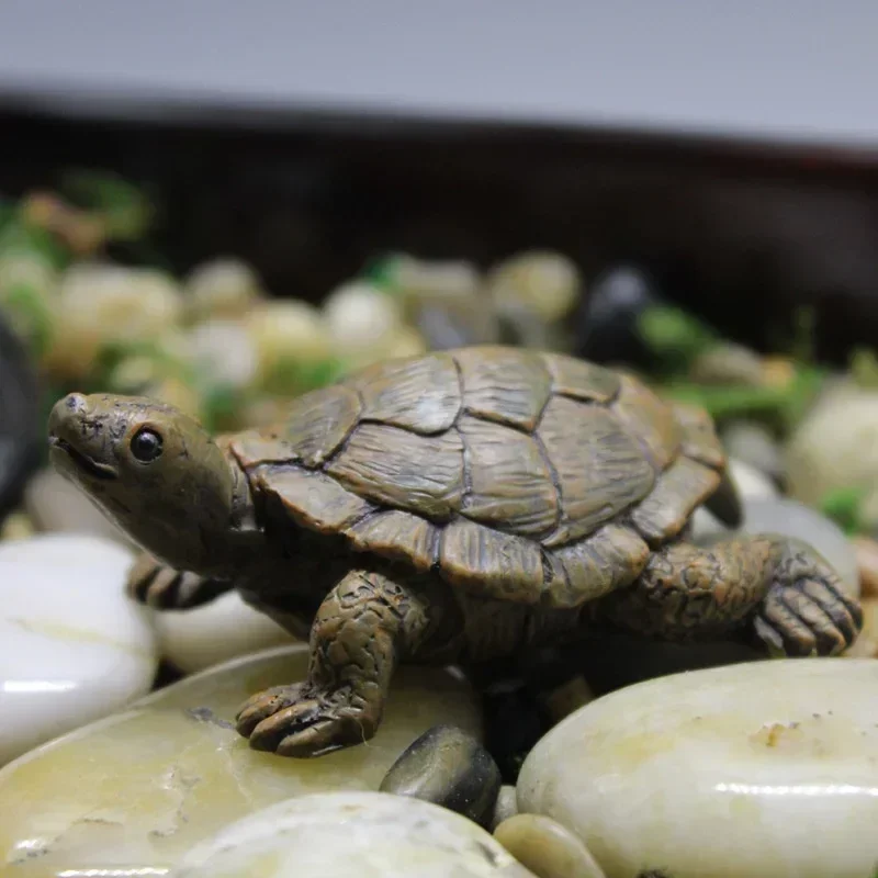 Resin Simulation Small Turtle  - Succulent Set 评论和价格