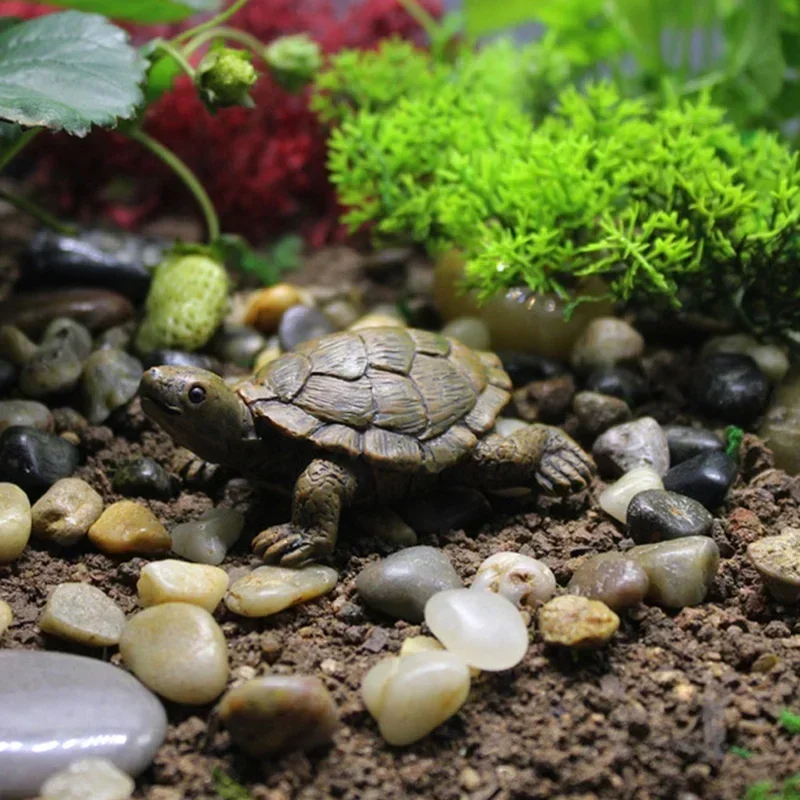 Resin Simulation Small Turtle  - Succulent Set 评论和价格