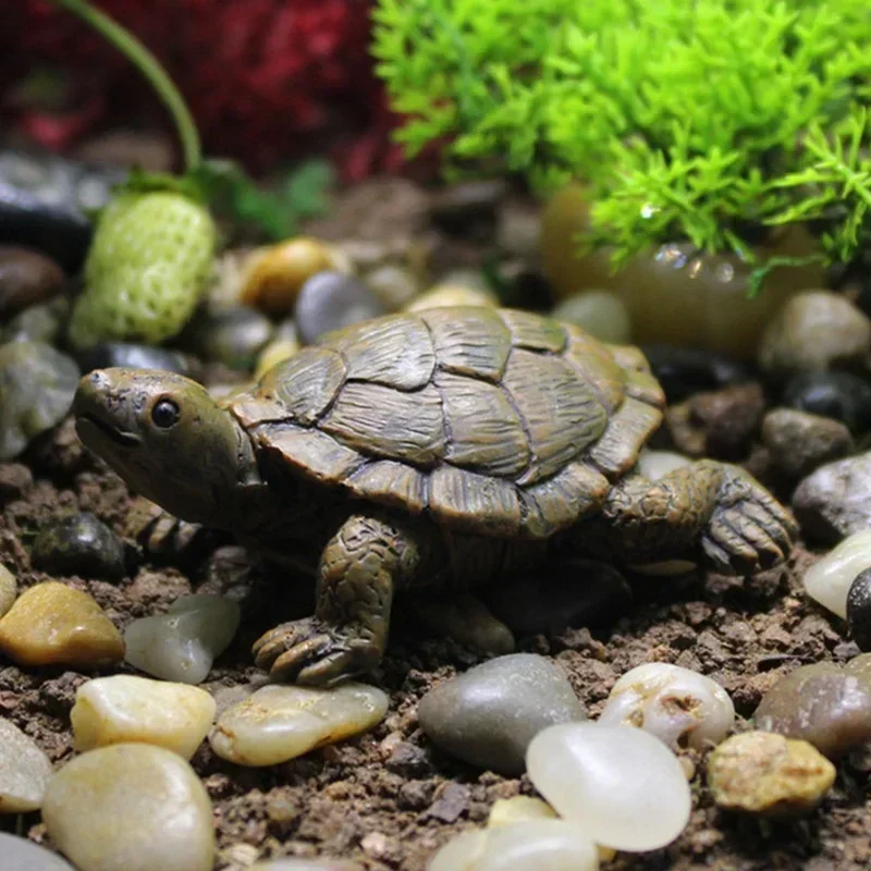 Resin Simulation Small Turtle  - Succulent Set 评论和价格