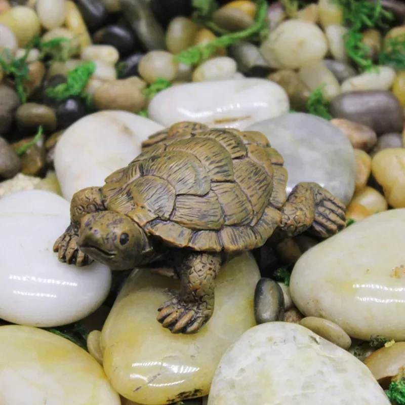 Resin Simulation Small Turtle  - Succulent Set 评论和价格