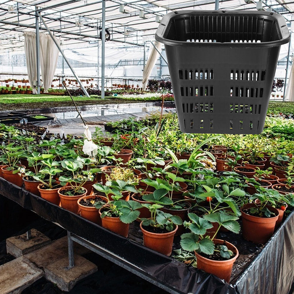 15 pcs Root Control Flowerpot  - Indoor Plants 评论和价格