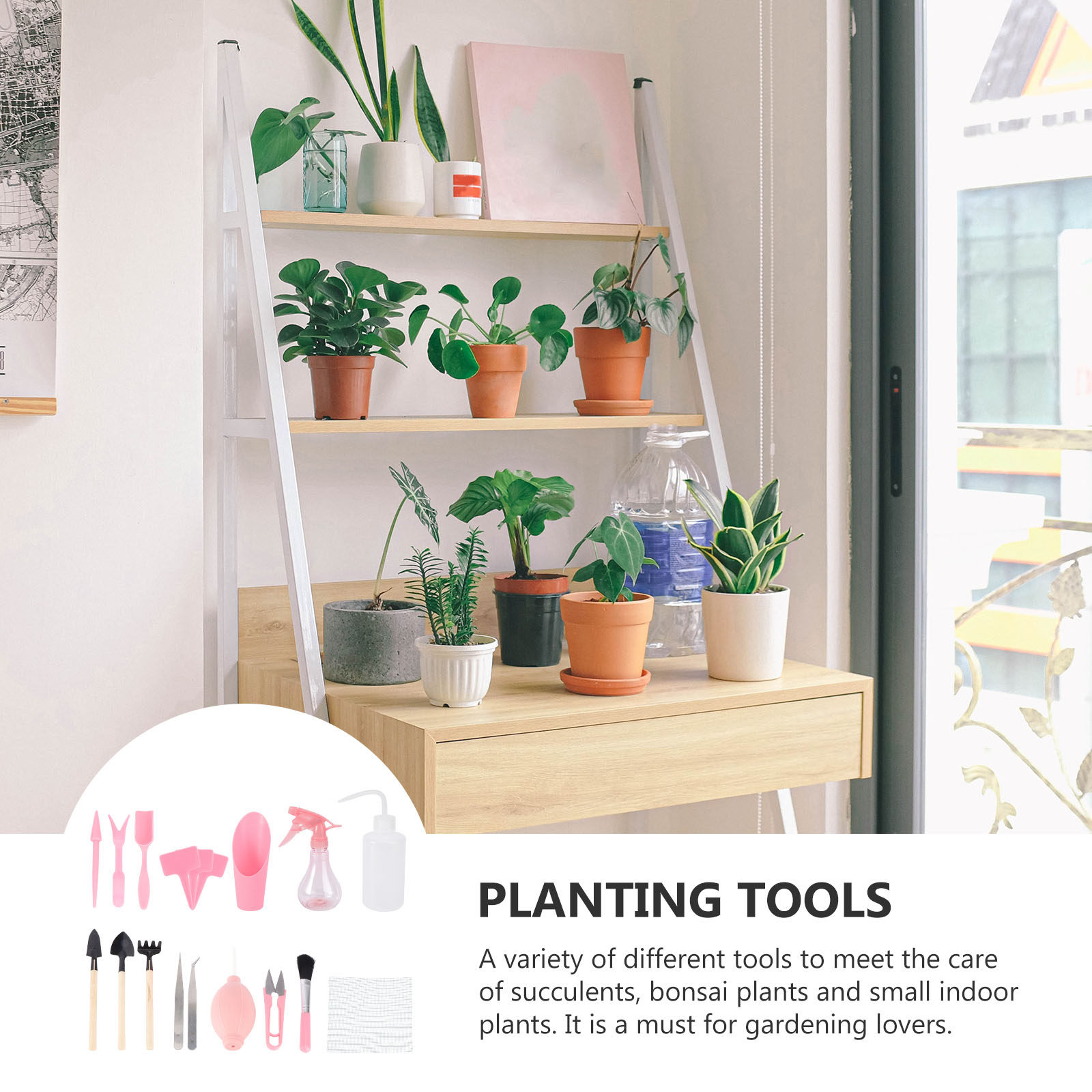 1Set Mini Succulent Planting T - Succulent Set 评论和价格