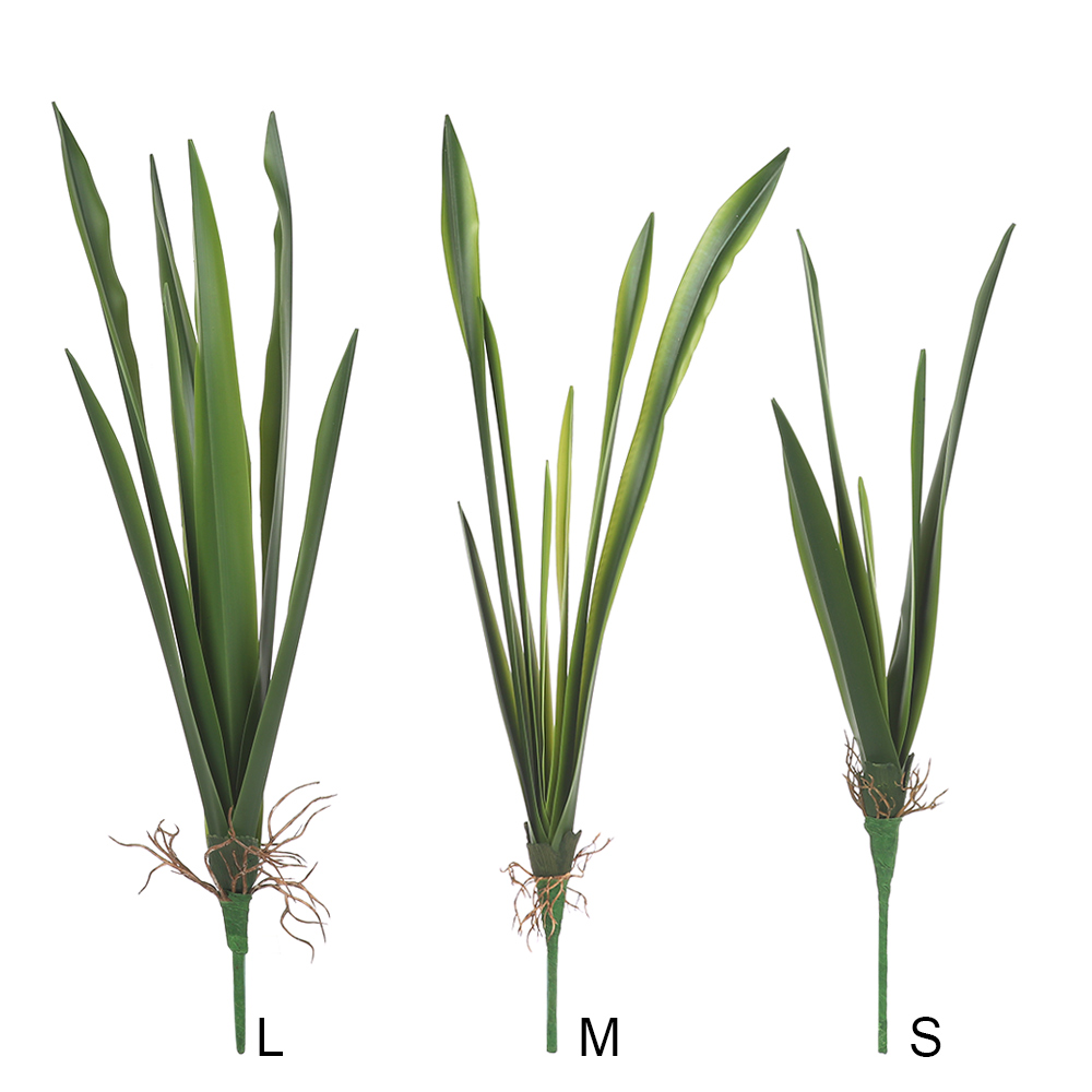 New Party Supplies High Grade  - Snake Plant 评论和价格