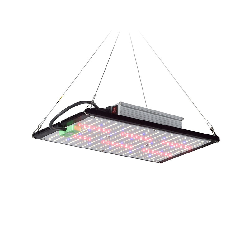 LED Quantum‑Board Grow Light F - Indoor Plants 评论和价格