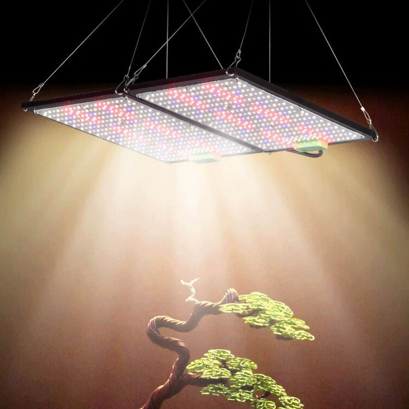 LED Quantum‑Board Grow Light F - Indoor Plants 评论和价格
