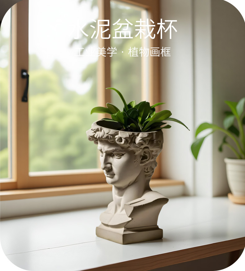 David Head Silicone Planter Mo - Succulent Set 评论和价格