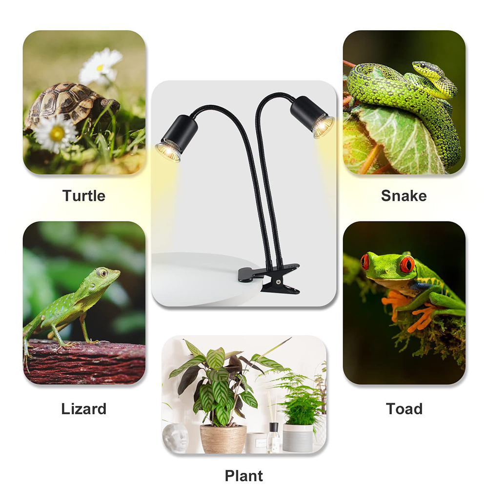 Reptile Heat Lamp Rotating Dou - Snake Plant 评论和价格