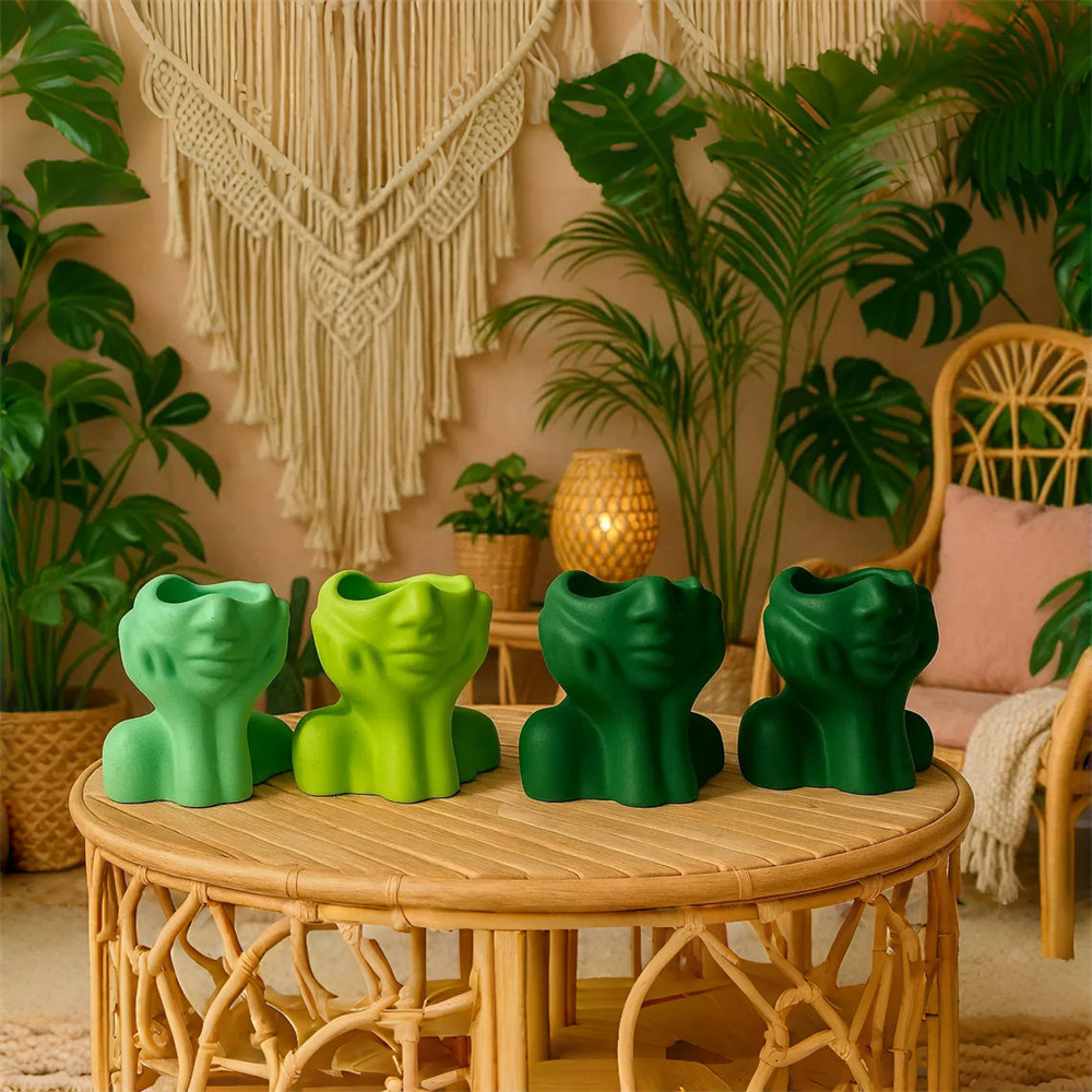 Abstract Face Planter Pot Sili - Succulent Set 评论和价格