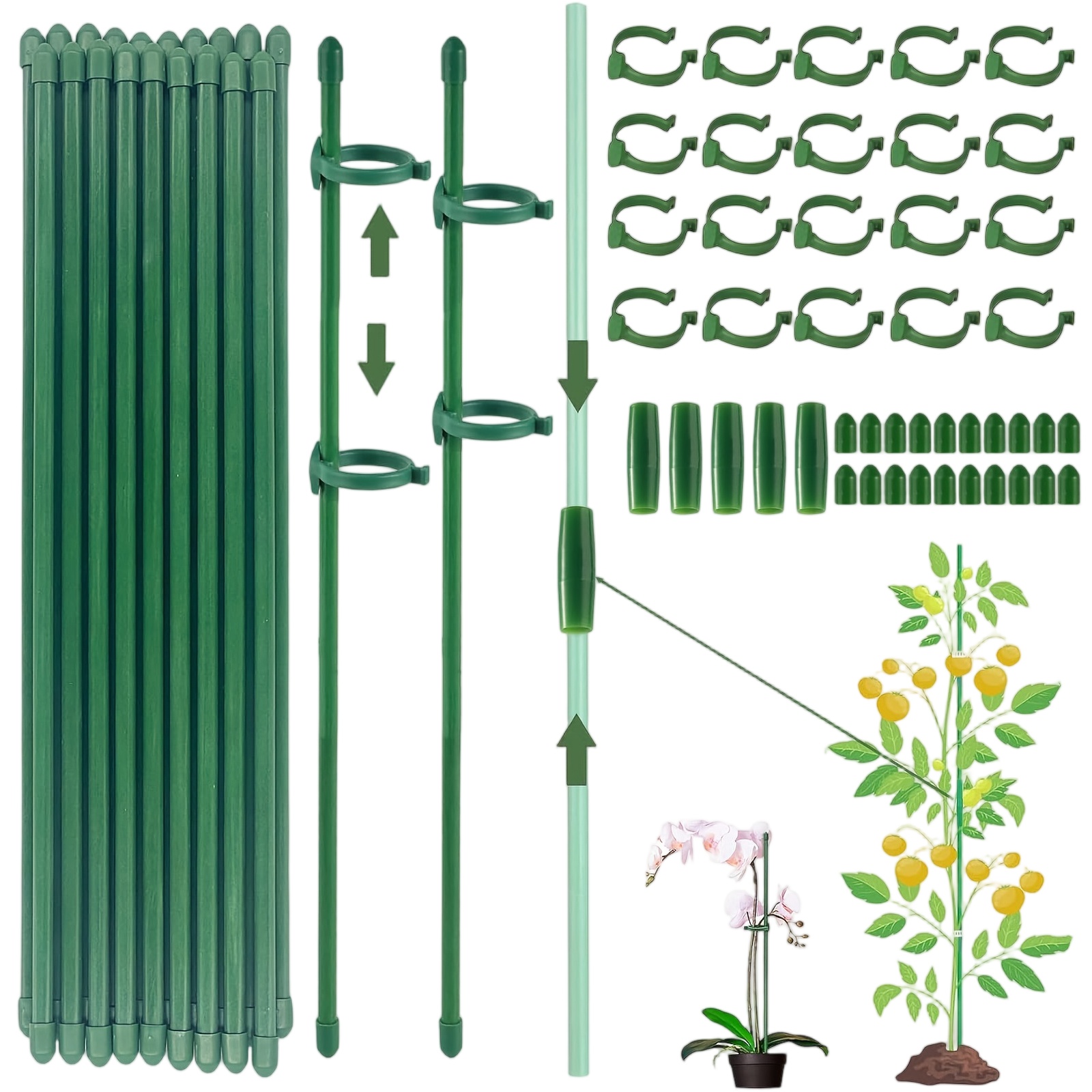 Plant Supports Rod Single Stem - Terracotta Pot 评论和价格