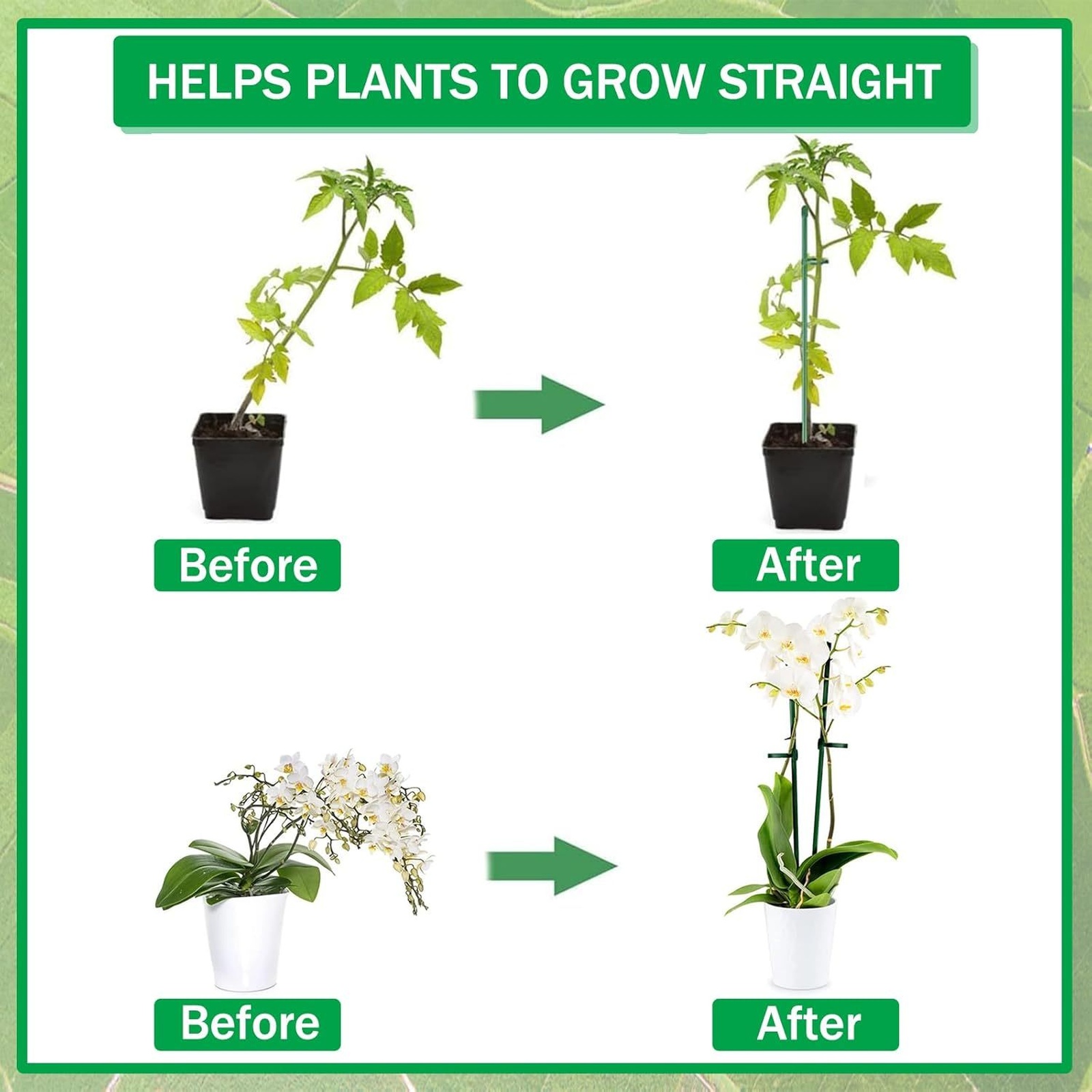 Plant Supports Rod Single Stem - Terracotta Pot 评论和价格