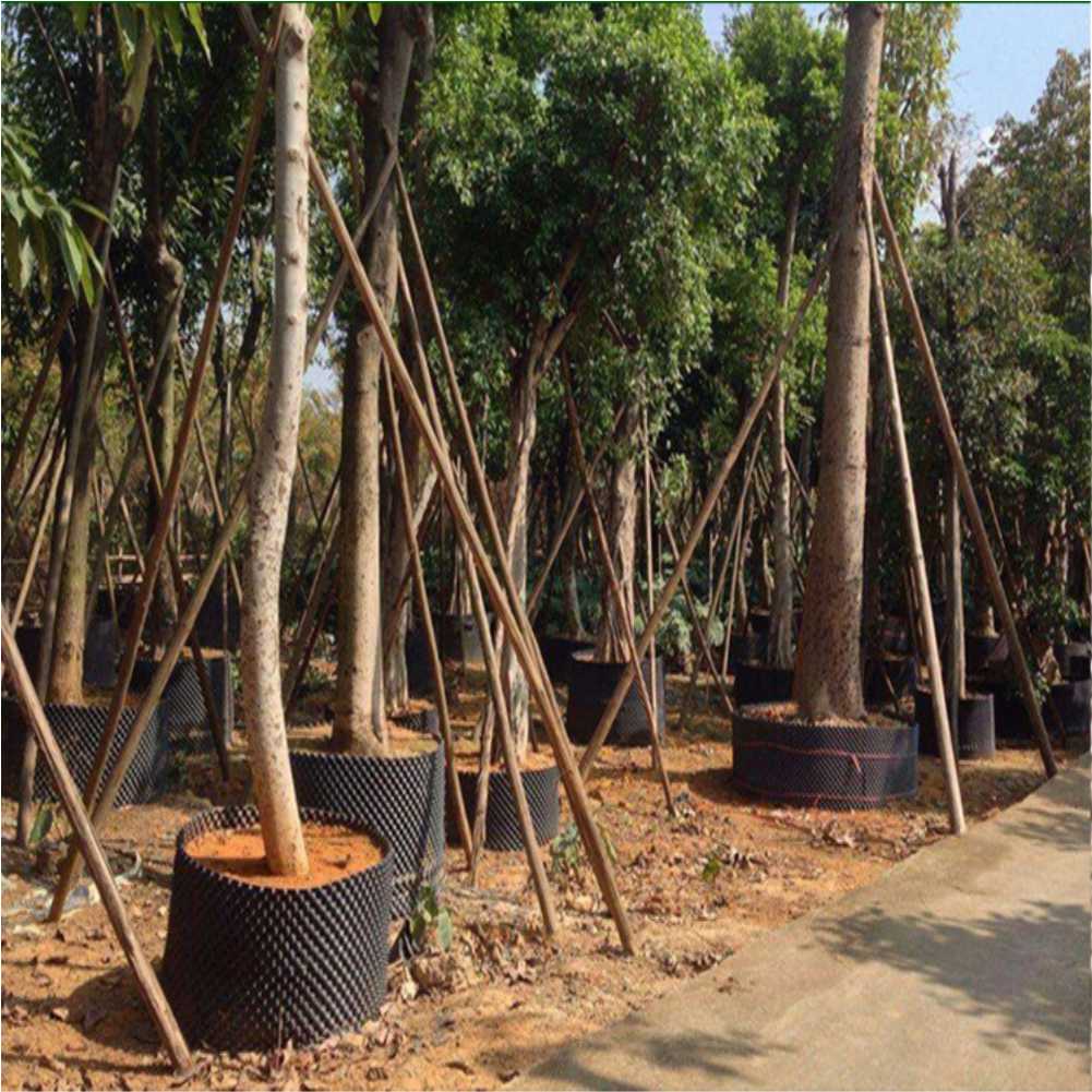 Grow Container Garden Tree Bon - Plant Pot 评论和价格