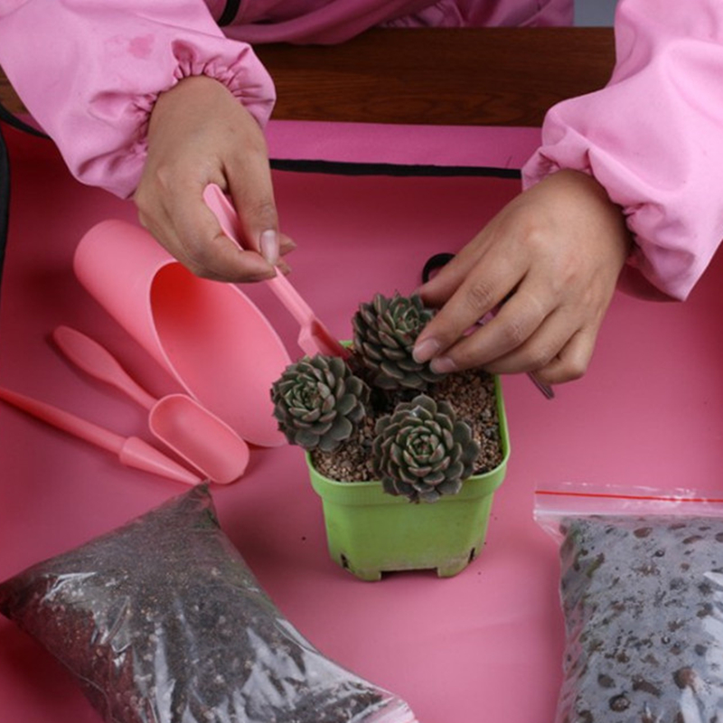 4Pcs/Set Garden Planter Kit DI - Succulent Set 评论和价格
