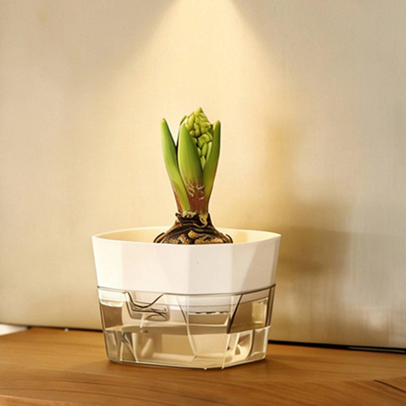 Hydroponic Vase Two Layer Self - Plant Pot 评论和价格