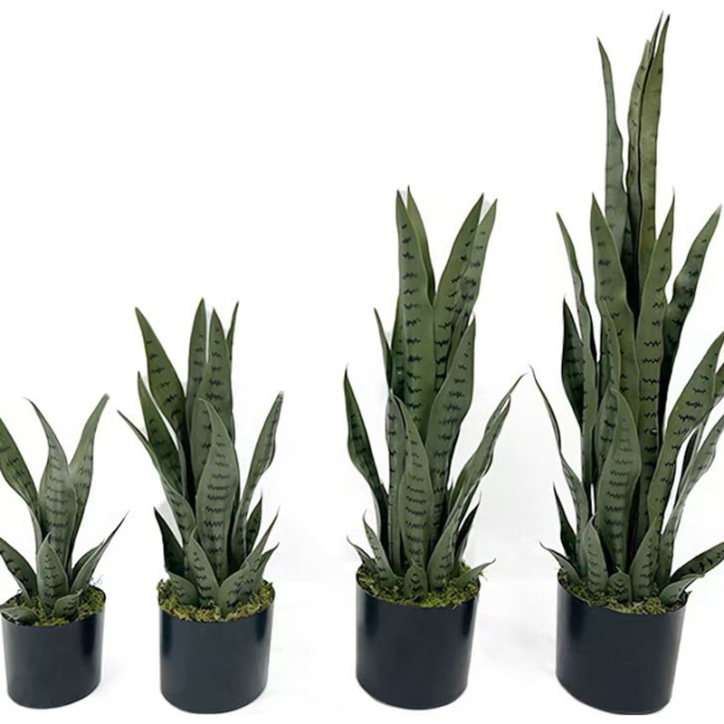 40-100cm Artificial Sansevieri - Snake Plant 评论和价格