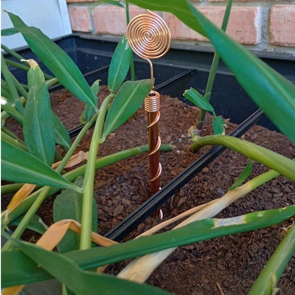 Spiral Coil Electroculture Pla - Plant Support Stake 评论和价格