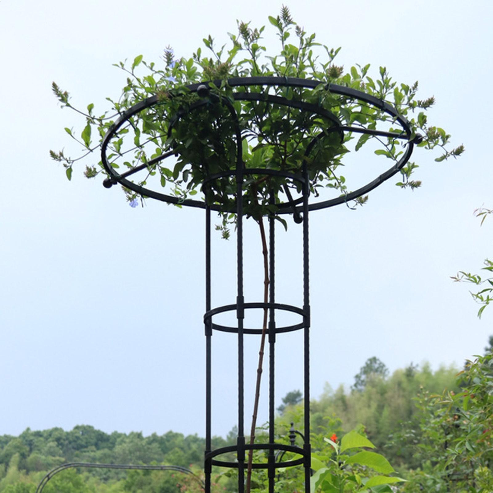 Garden Trellis Umbrella Tower  - Terracotta Pot 评论和价格