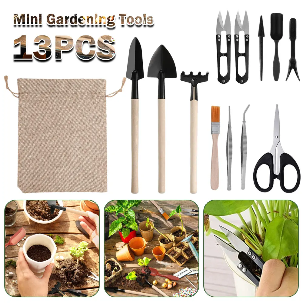 13PCS Succulent Plants Tool Se - Succulent Set 评论和价格
