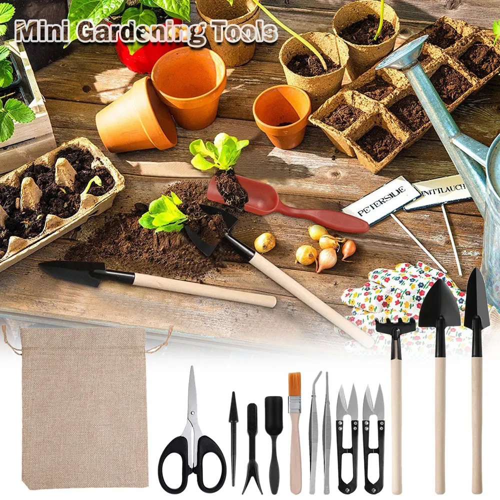 13PCS Succulent Plants Tool Se - Succulent Set 评论和价格