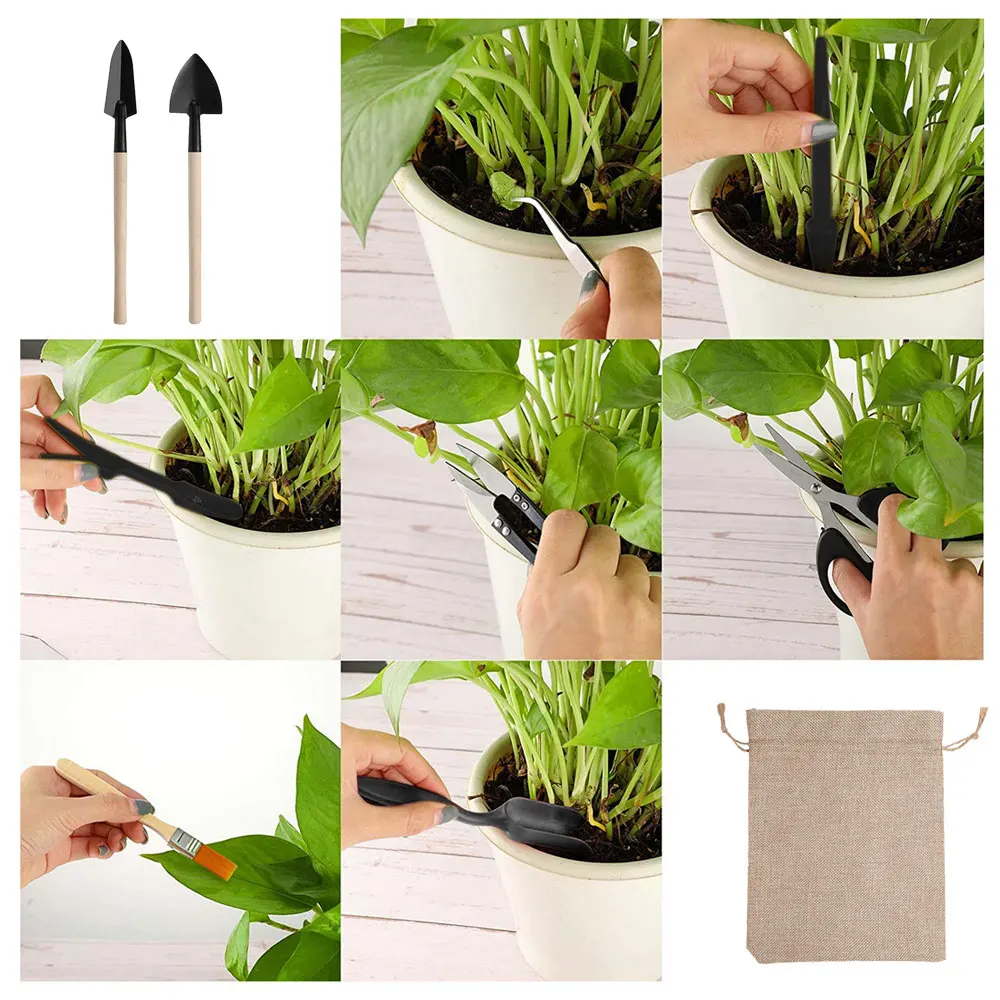 13PCS Succulent Plants Tool Se - Succulent Set 评论和价格