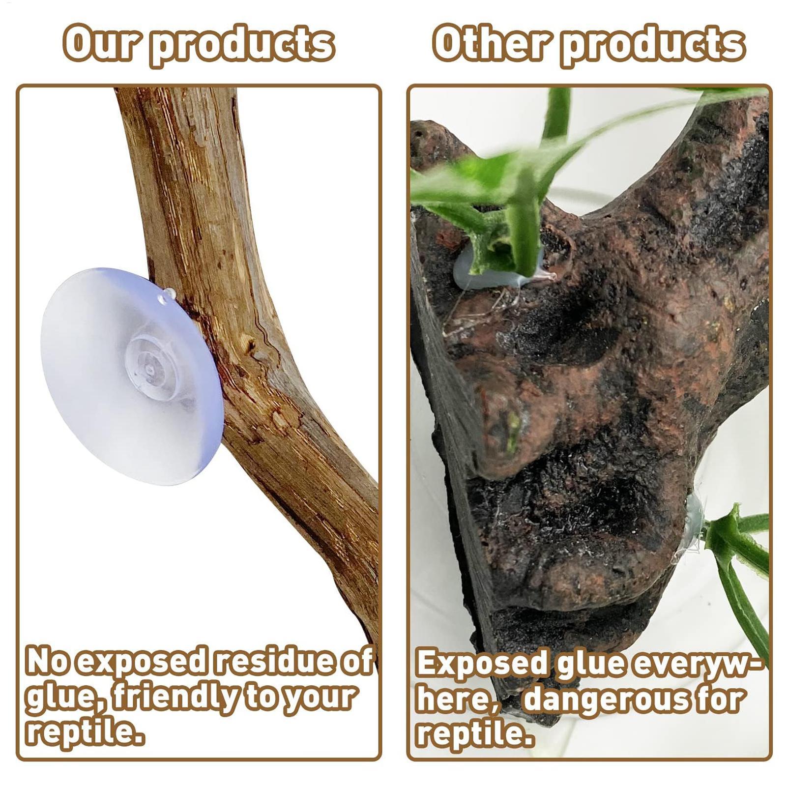 Reptile Climbing Corner Stick  - Snake Plant 评论和价格