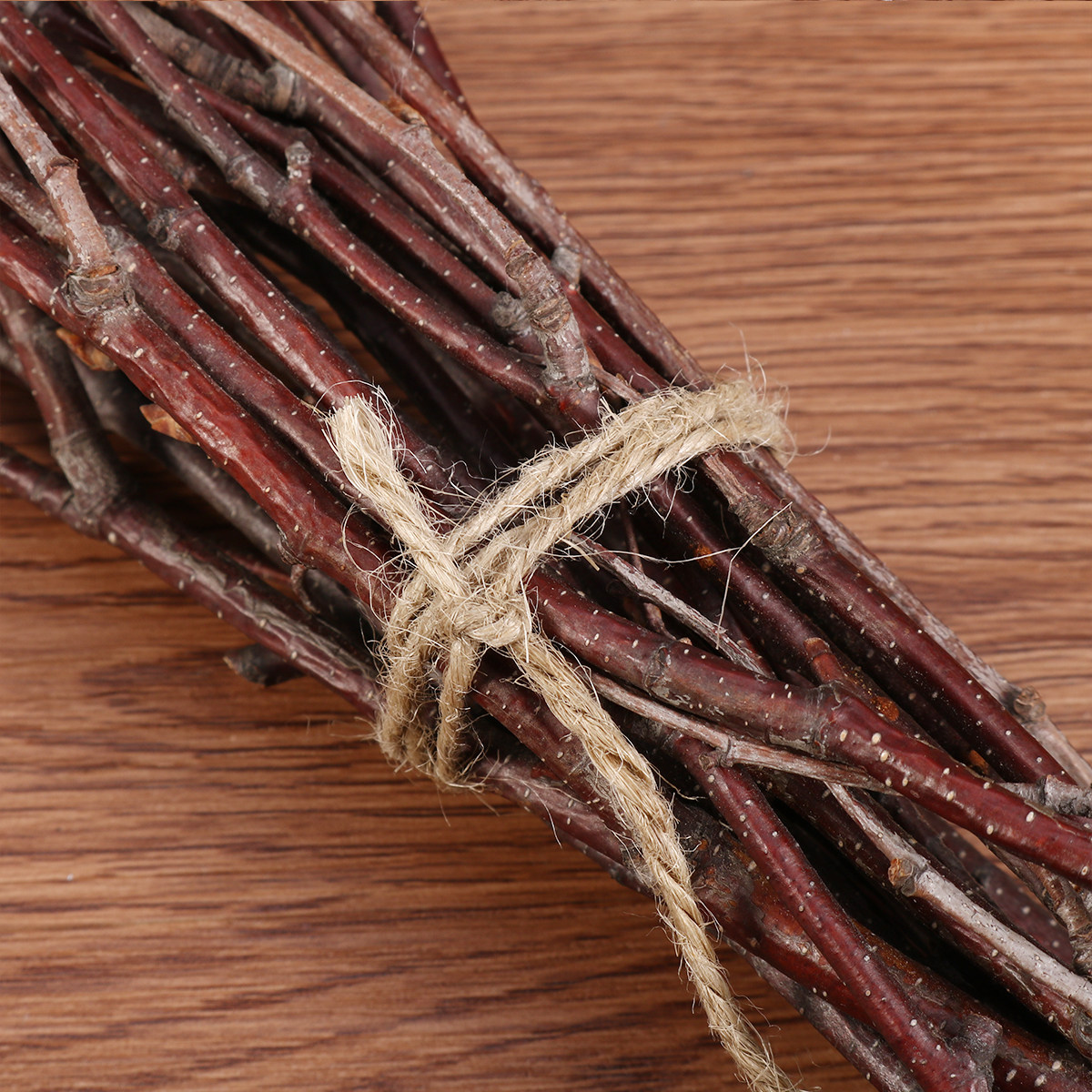 10Pcs Birch Branches Natural D - Snake Plant 评论和价格