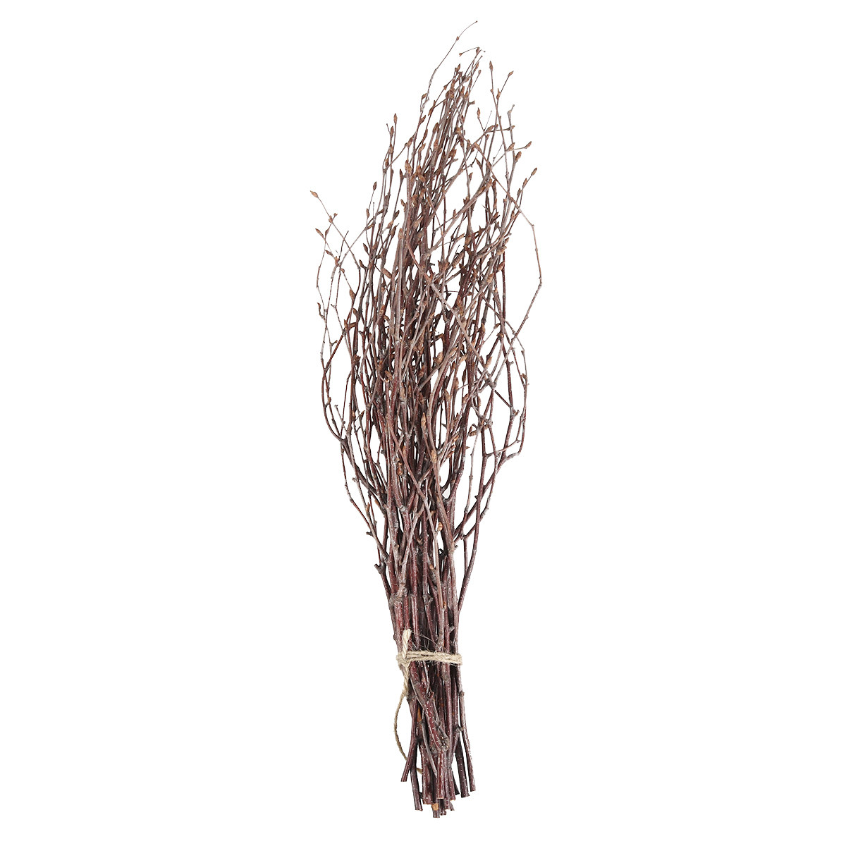 10Pcs Birch Branches Natural D - Snake Plant 评论和价格