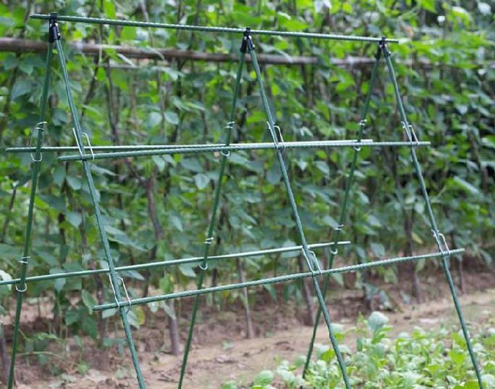 Diameter 8/11/16mm Plant Suppo - Plant Support Stake 评论和价格