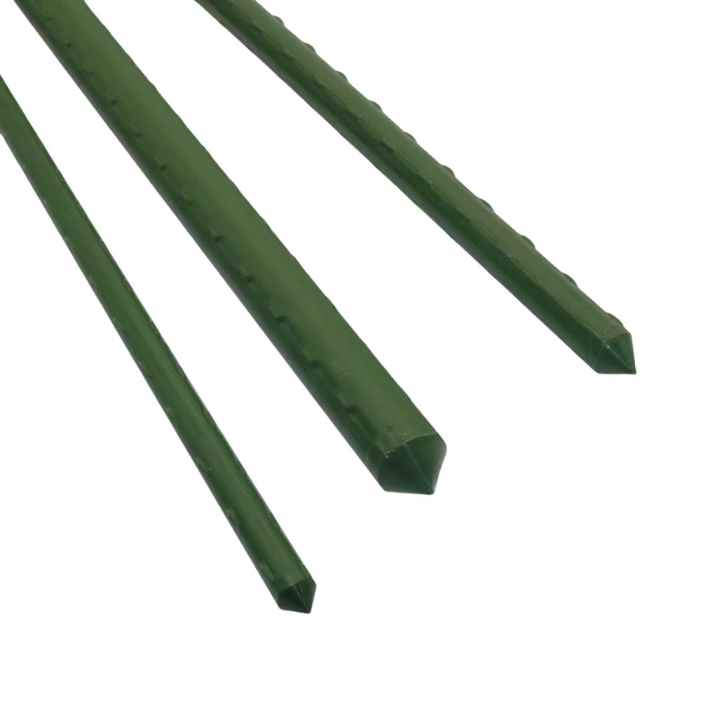 Diameter 8/11/16mm Plant Suppo - Plant Support Stake 评论和价格