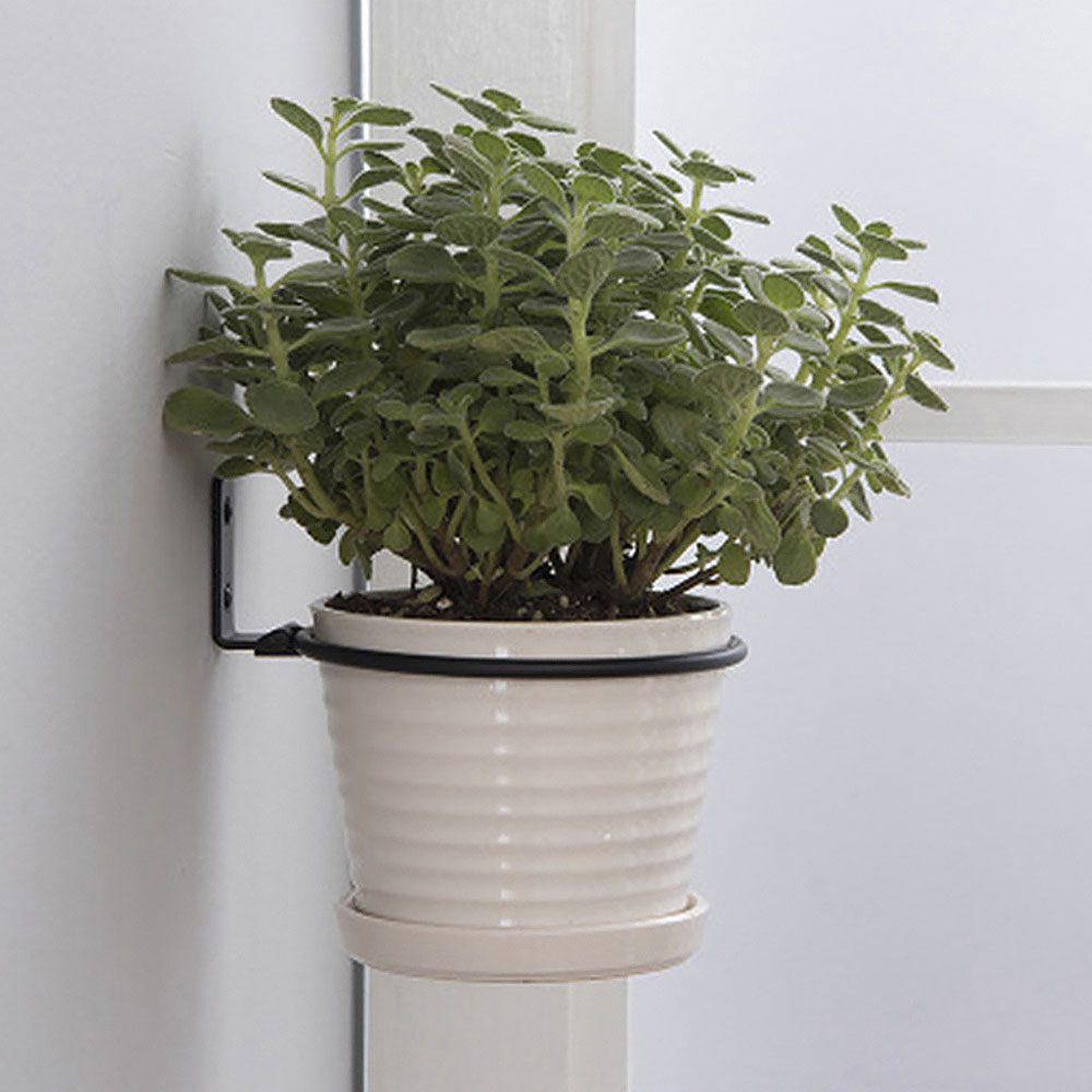 Flower Pot Trays Wall Mounted  - Terracotta Pot 评论和价格