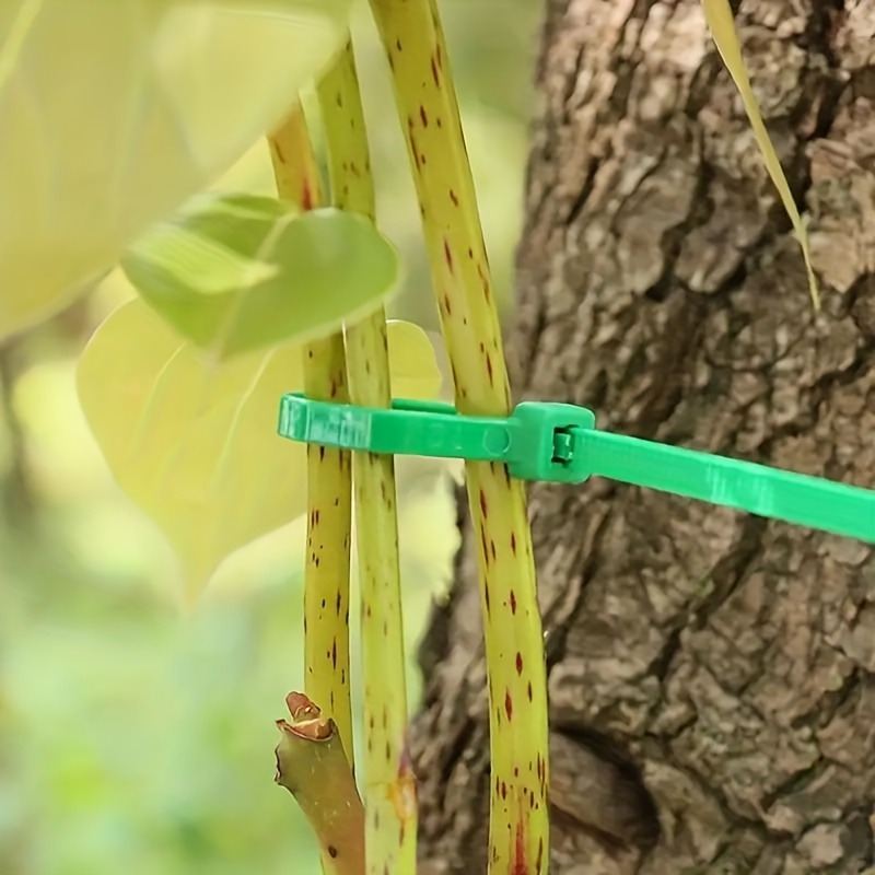 100pcs Garden Cable Tie, Plant - Plant Pot 评论和价格