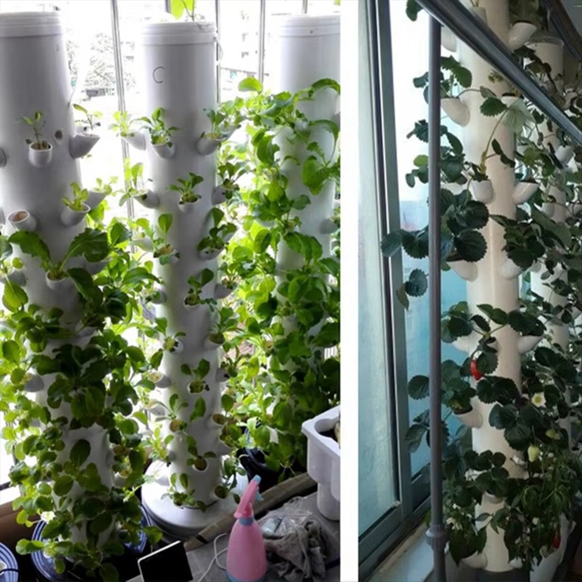 Hydroponic Vertical Tower Cont - Plant Pot 评论和价格