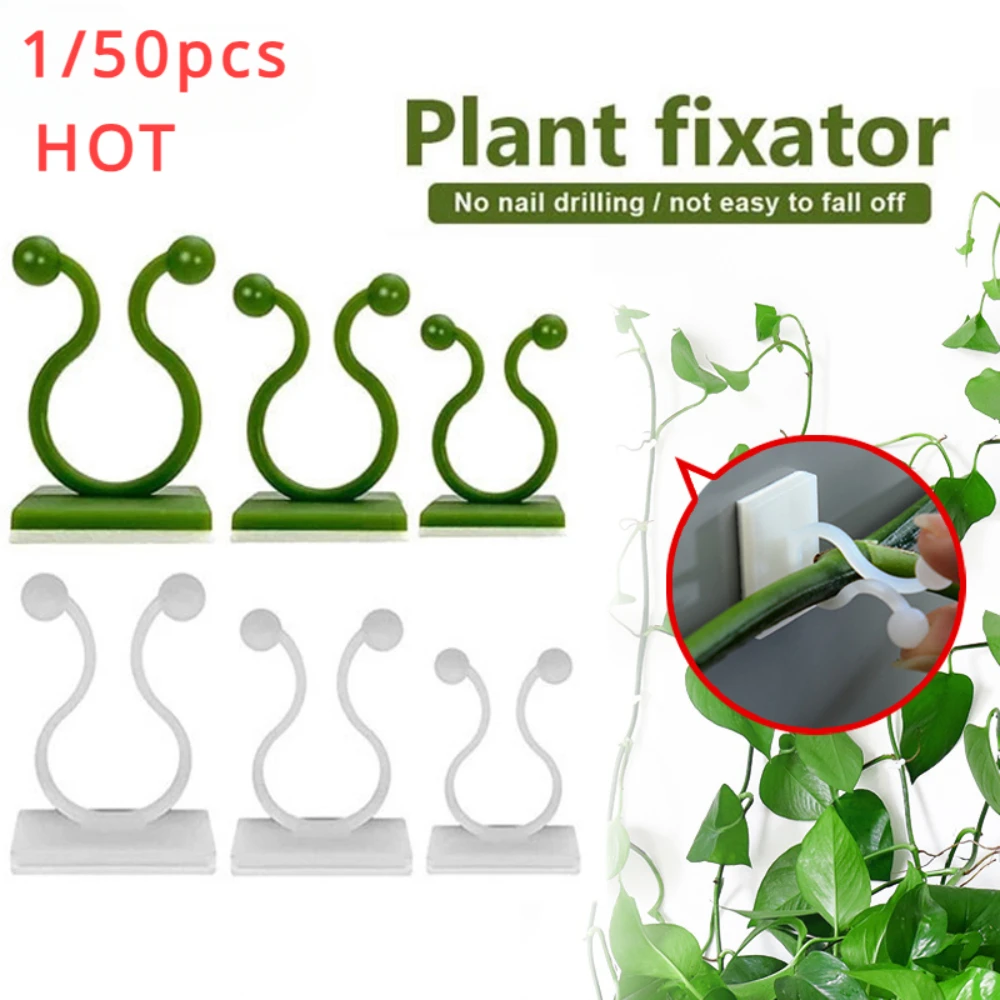 1/30/50Pcs For Garden Accsesor - Plant Support Stake 评论和价格