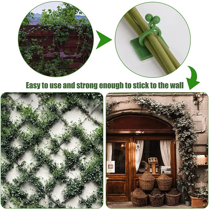 1/30/50Pcs For Garden Accsesor - Plant Support Stake 评论和价格