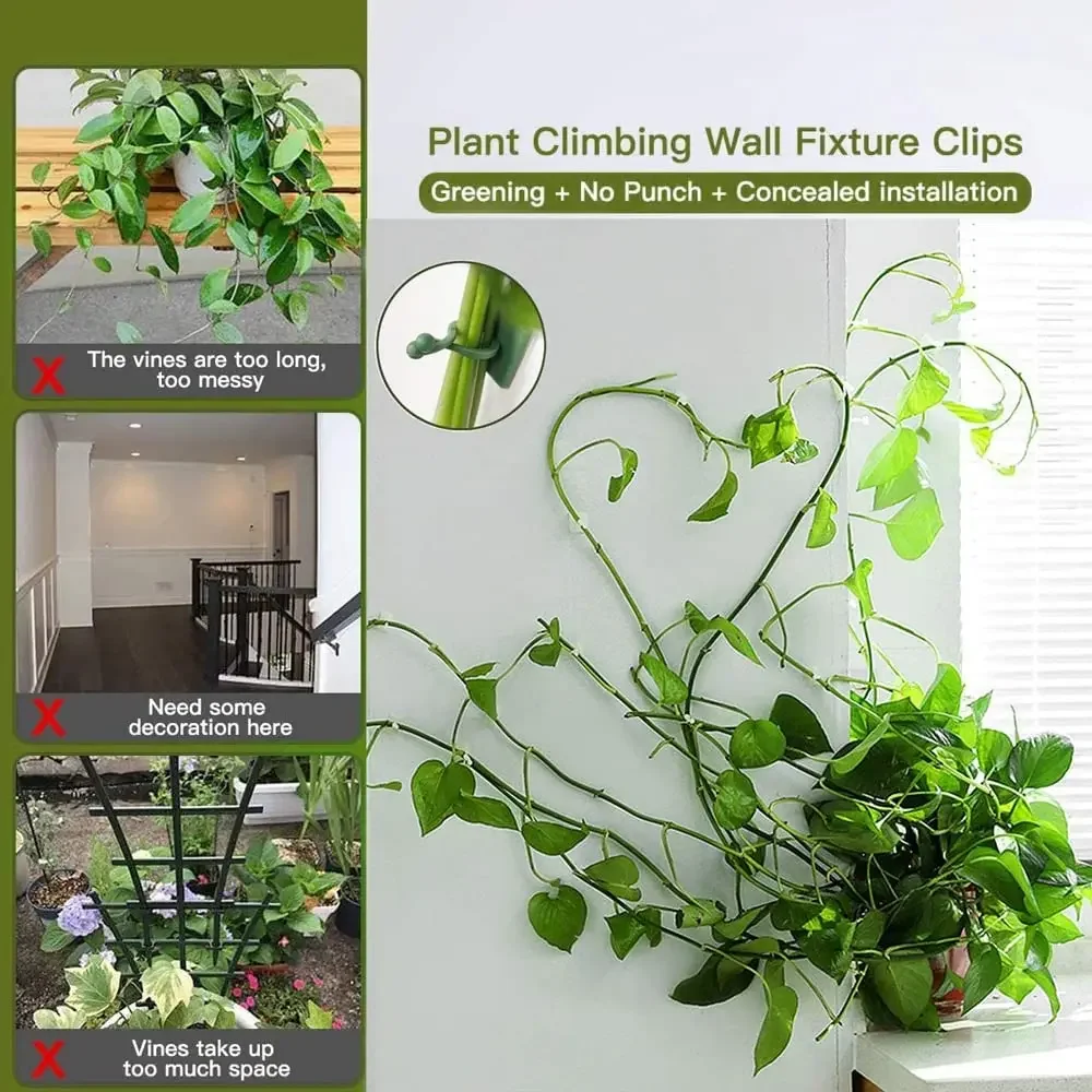 1/30/50Pcs For Garden Accsesor - Plant Support Stake 评论和价格