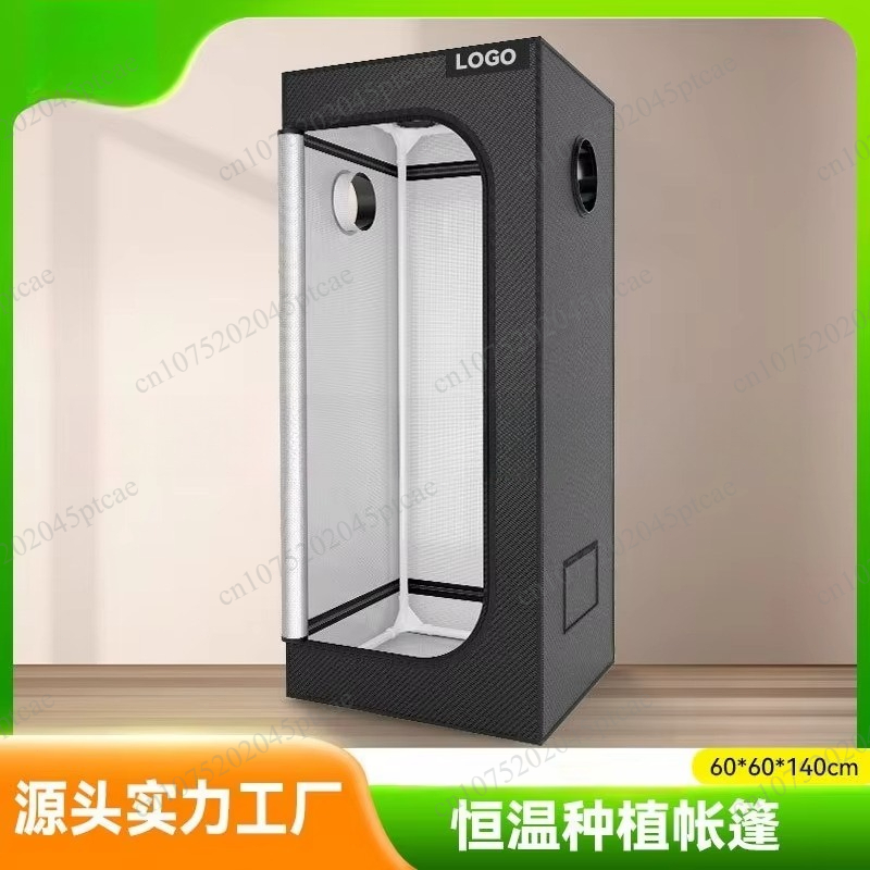 Indoor constant temperature pl - Indoor Plants 评论和价格