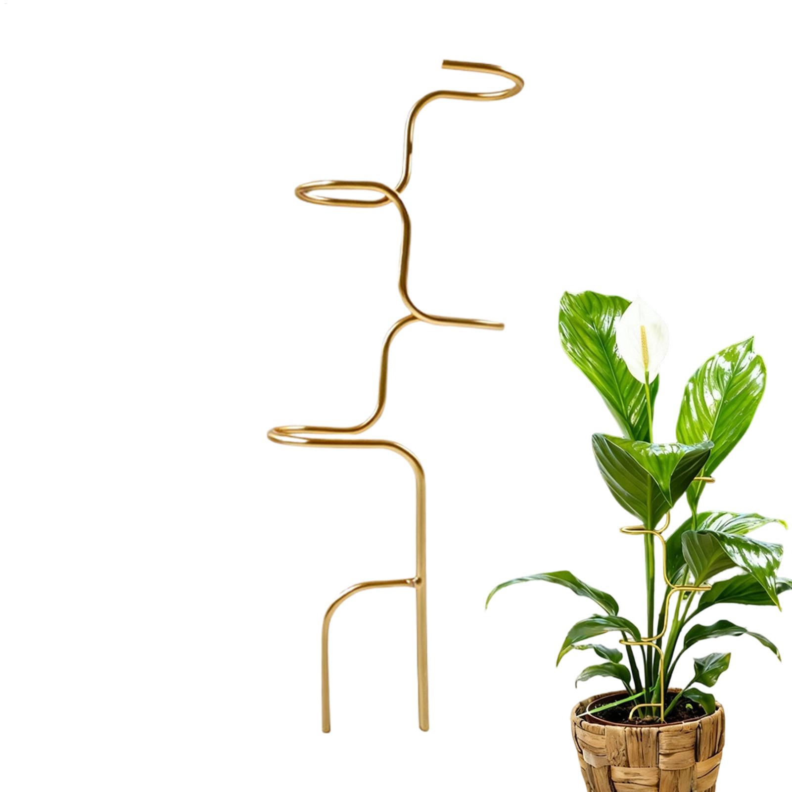 Garden Plant stem fixing suppo - Plant Support Stake 评论和价格