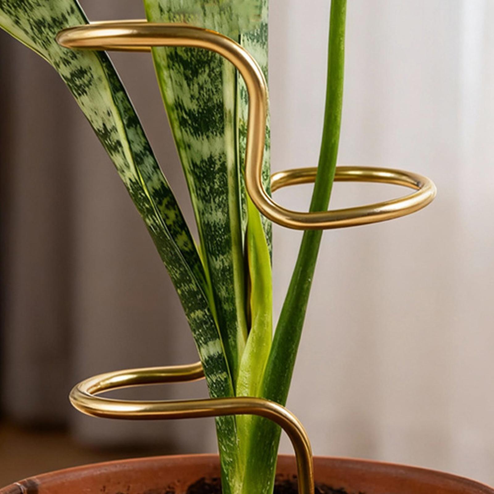Garden Plant stem fixing suppo - Plant Support Stake 评论和价格