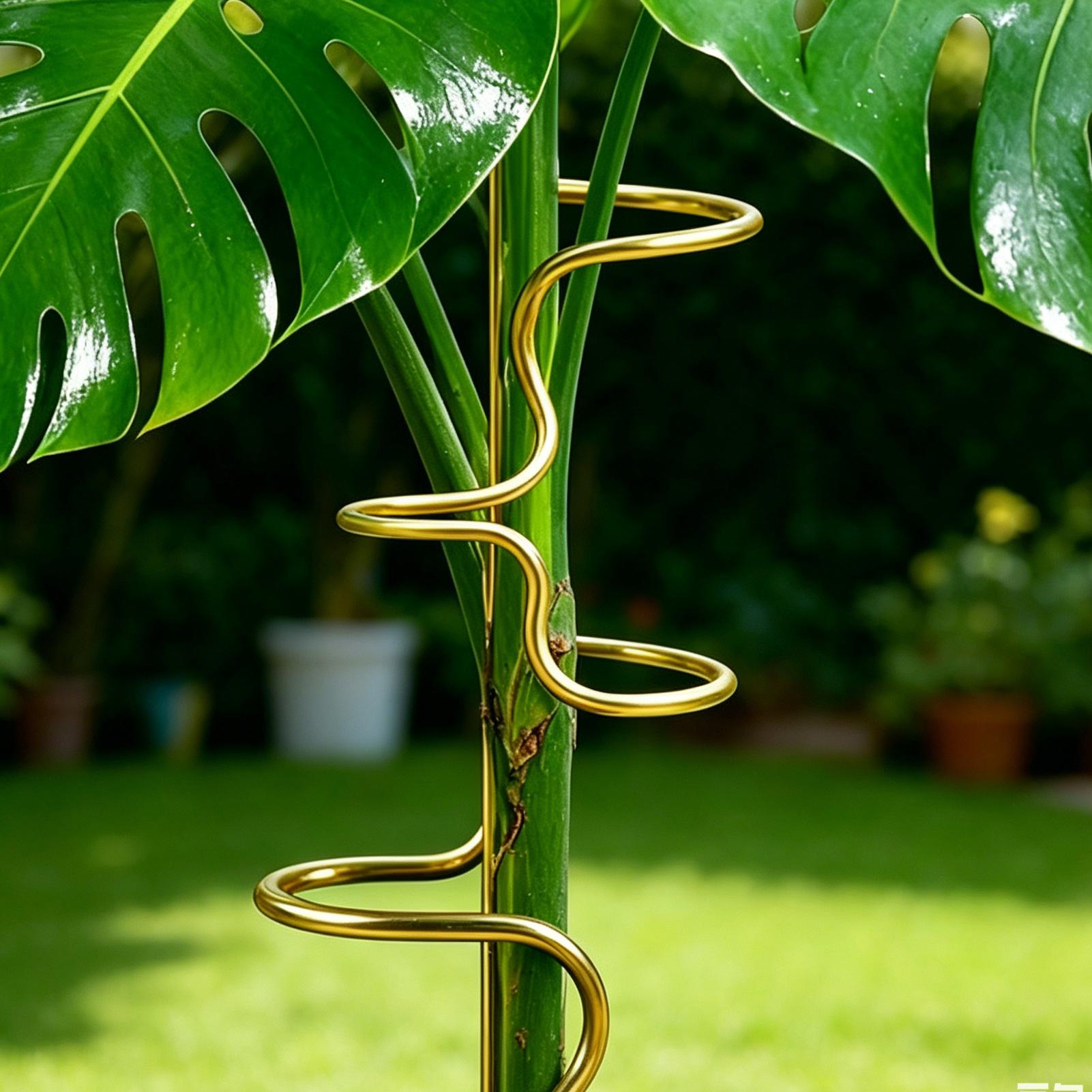 Garden Plant stem fixing suppo - Plant Support Stake 评论和价格