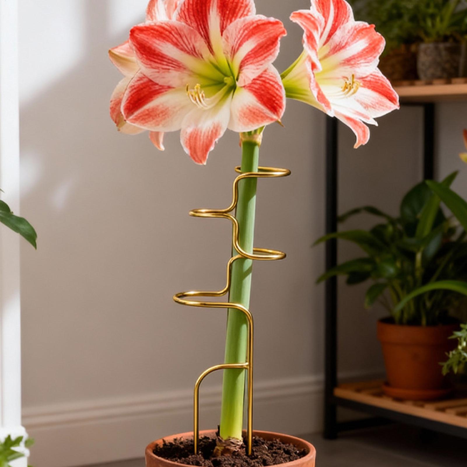 Garden Plant stem fixing suppo - Plant Support Stake 评论和价格