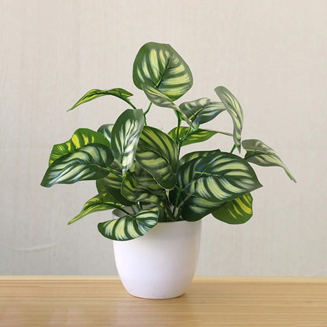 1PC Artificial Foliage Plant P - Snake Plant 评论和价格