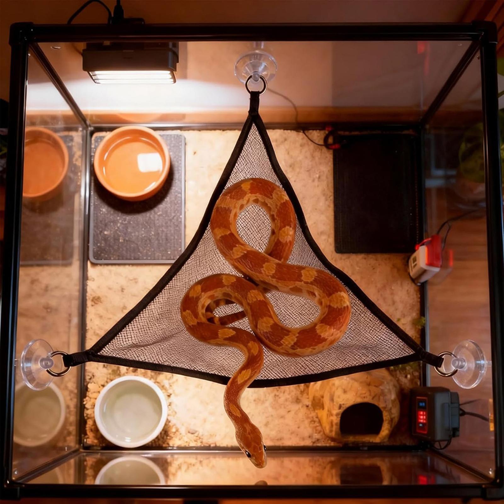 Snake Climbing Accessories Rep - Snake Plant 评论和价格