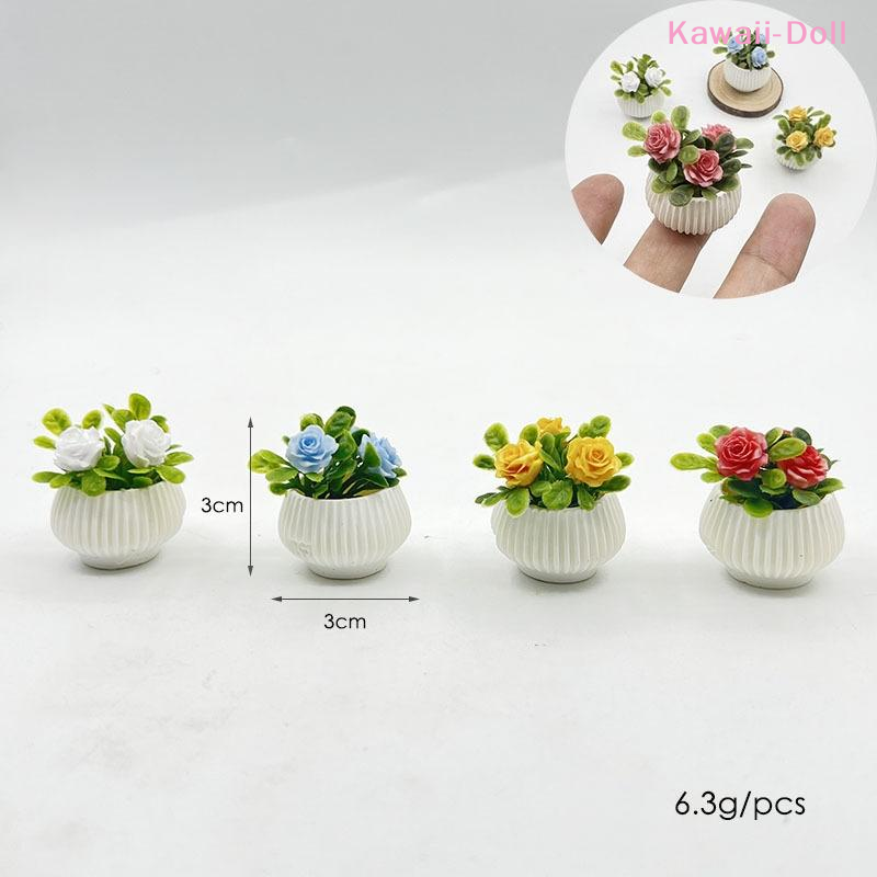 1Pcs Miniature Mini Rose Plant - Plant Pot 评论和价格