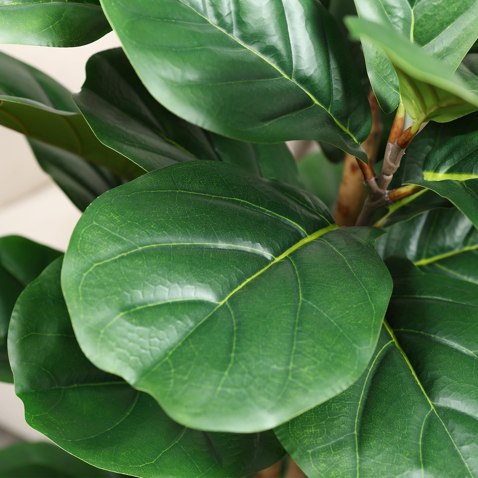Artificial Fiddle Leaf Fig Tre - Fiddle Leaf Fig 评论和价格