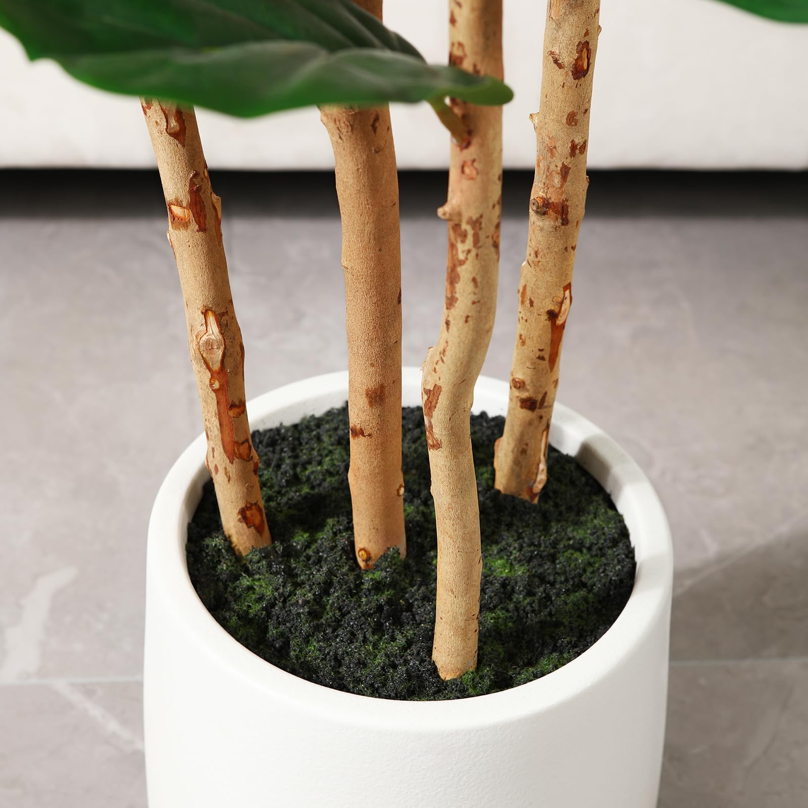 Artificial Fiddle Leaf Fig Tre - Fiddle Leaf Fig 评论和价格