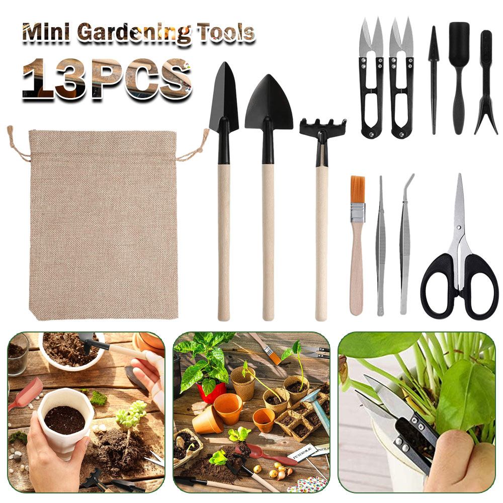 Succulent Plants Tools Mini Ga - Succulent Set 评论和价格