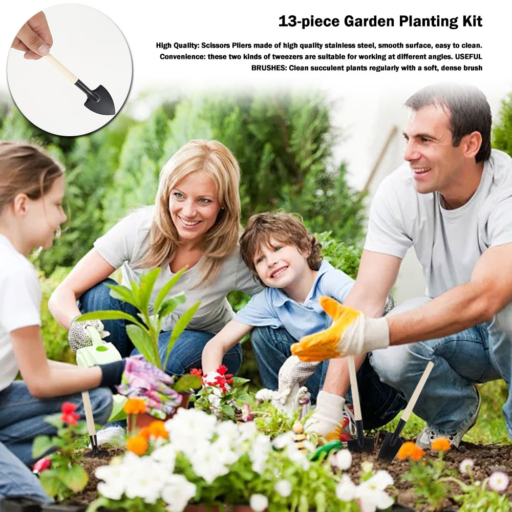 Succulent Plants Tools Mini Ga - Succulent Set 评论和价格