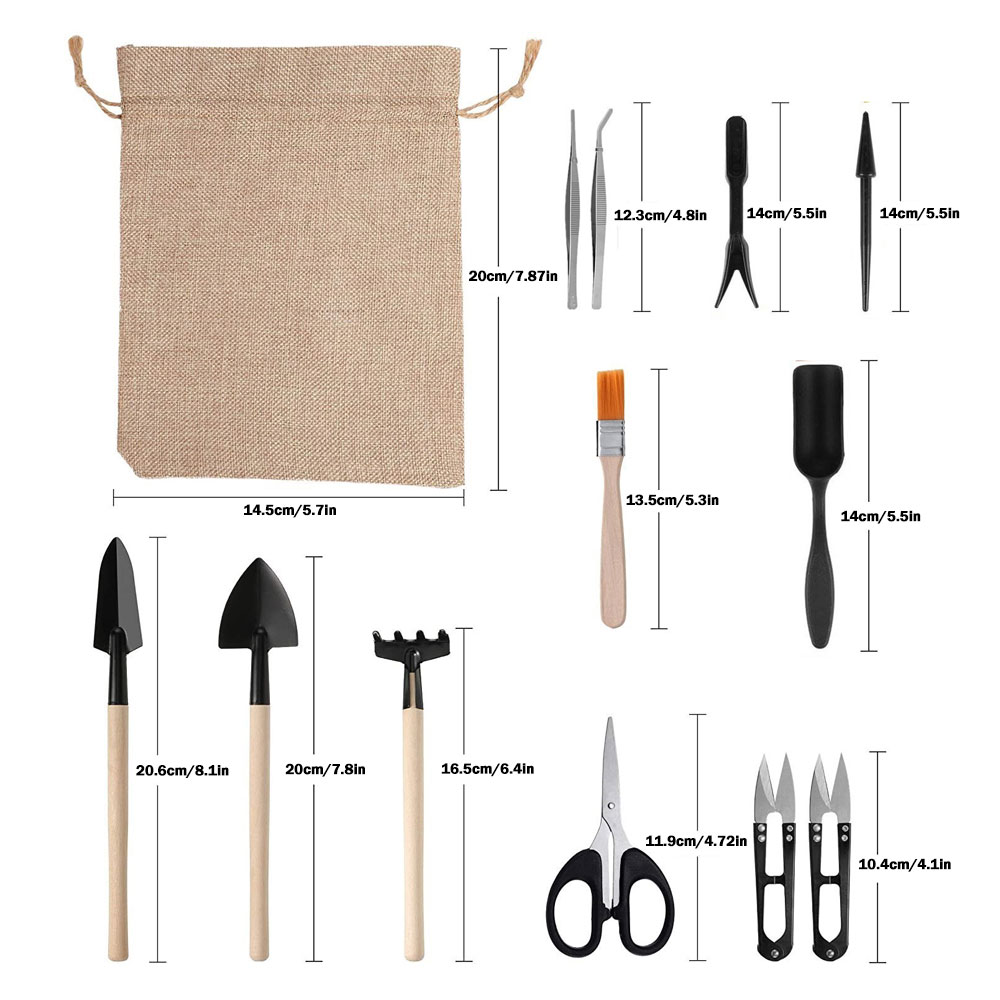Succulent Plants Tools Mini Ga - Succulent Set 评论和价格